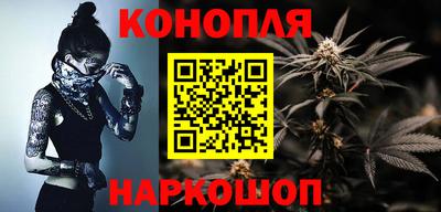 индика Новозыбков