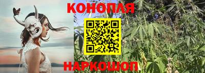 таблы Новокубанск