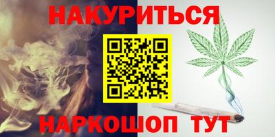 индика Новозыбков