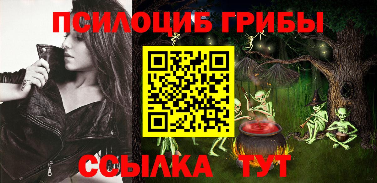 что такое   Псилоцибиновые грибы прущие грибы  Вход с VPN  Славгород 