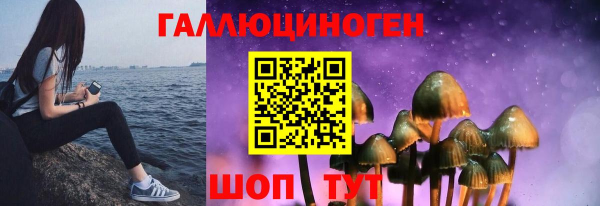 Галлюциногенные грибы Psilocybine cubensis Славгород